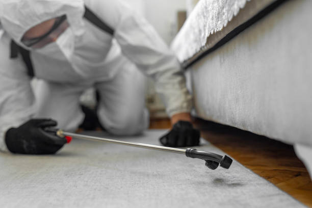 Professional Bed Bug Control technician working in Yorktown, TX