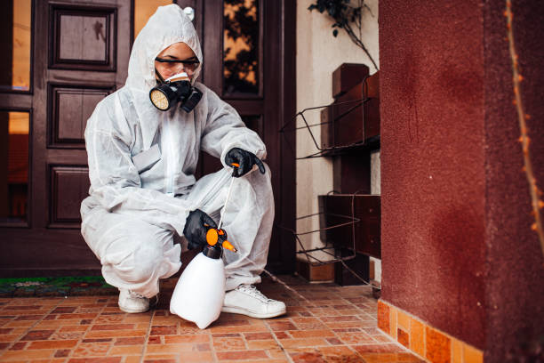 Reliable Bed Bug Control contractor in Yorktown, TX by Nex Pest Control