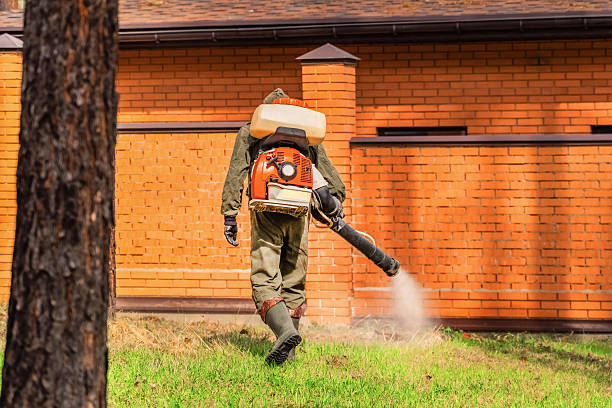 Trusted Bed Bug Control service in Yorktown, TX - Nex Pest Control